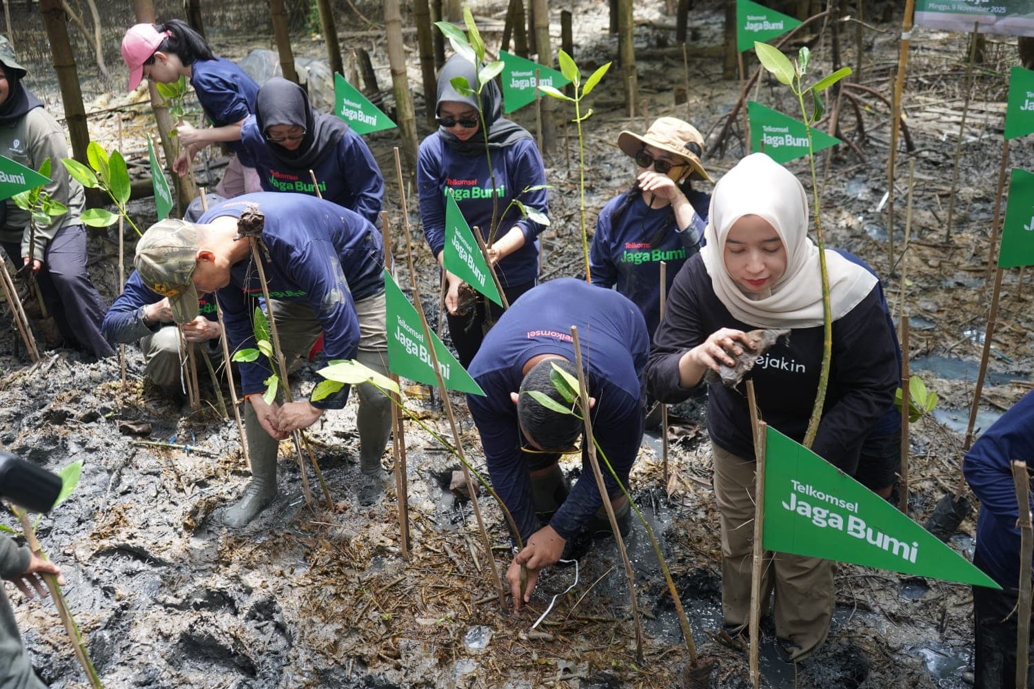 Telkomsel Jaga Bumi Carbon Offset Fase 3: Aksi Nyata Bersama 47 Ribu Pelanggan, Tanam 12.731 Pohon Baru dan Serap 824 Ton Emisi Karbon