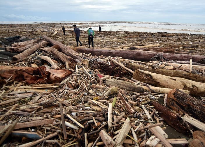 Benahi Tata Kelola SDA, Pemerintah Cabut Izin Sawit hingga Pemanfaatan Kayu