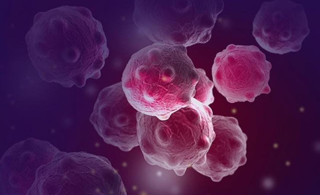 Stres Oksidatif: Penyebab, Dampak, dan Cara Mencegahnya Secara Alami