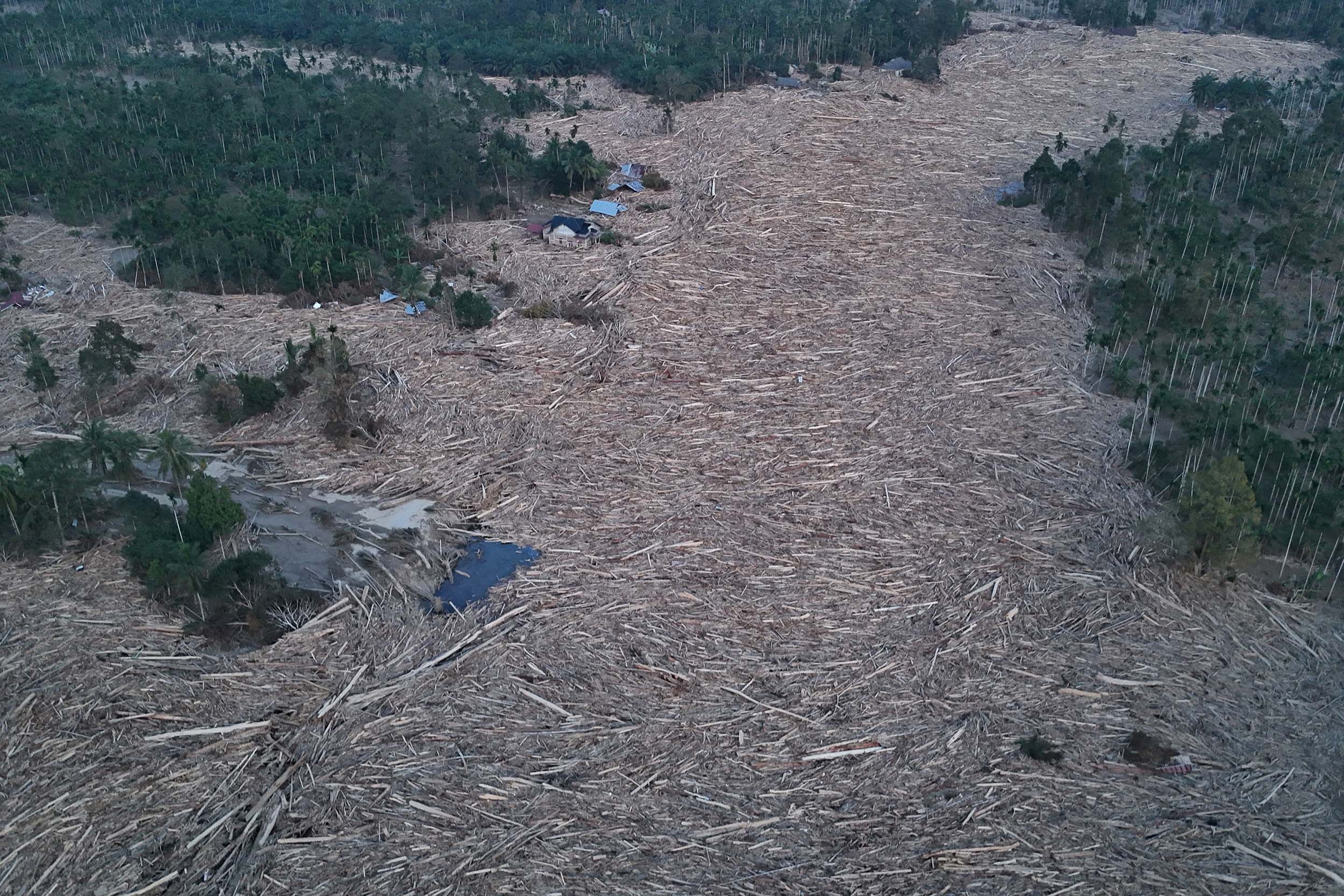 Lonjakan Deforestasi di Sumatera Picu Kekhawatiran: DPR Soroti Lemahnya Pengawasan dan Penegakan Hukum