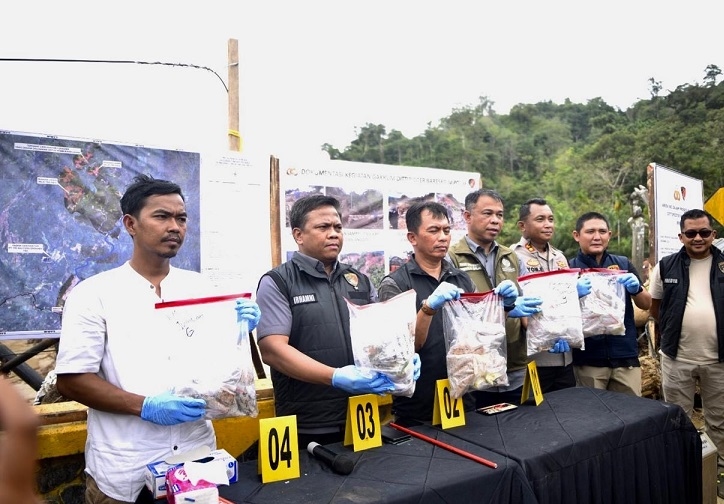 Identifikasi Awal Kayu Gelondongan Banjir Sumut Terungkap, Ada Bekas Ditebang