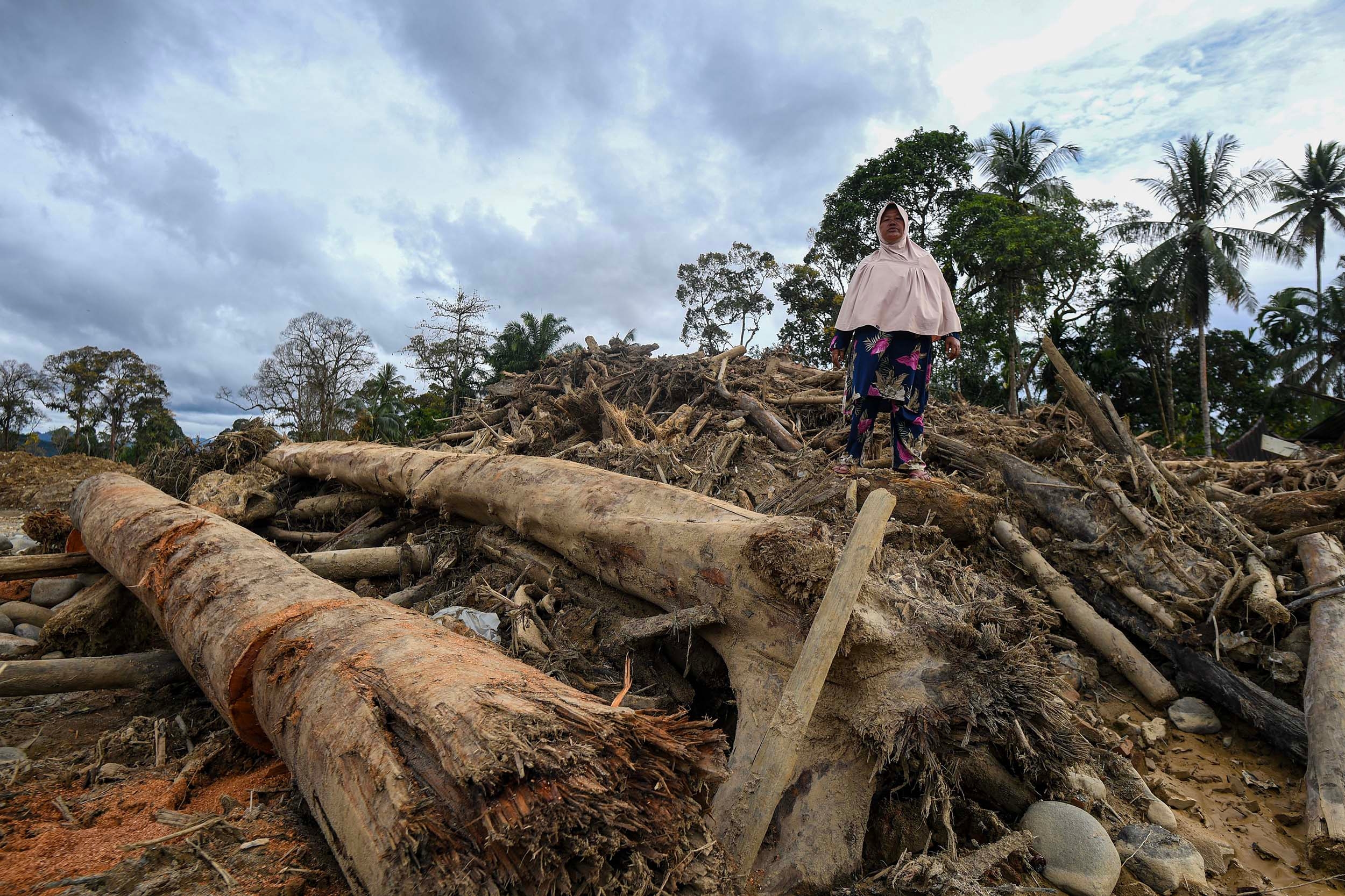 Kemenhut Perketat Pengawasan Pengangkutan Kayu di Wilayah Bencana, Kanal Aduan Dibuka 24 Jam