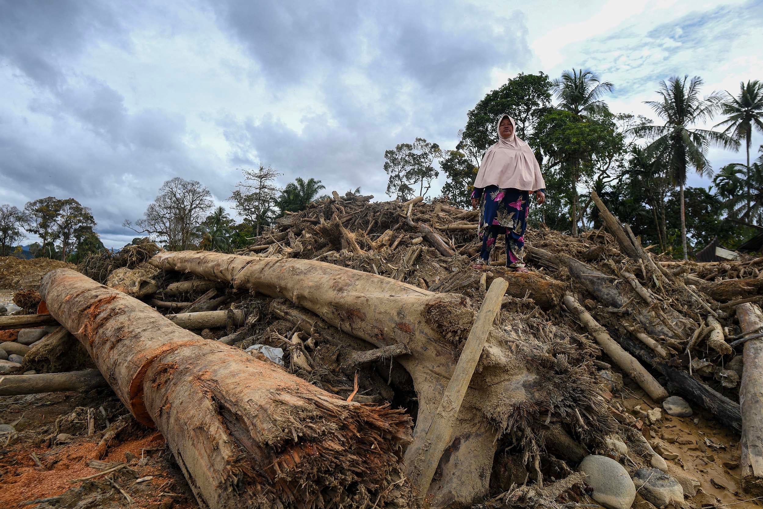 Kemenhut Perketat Pengawasan Pengangkutan Kayu di Wilayah Bencana, Kanal Aduan Dibuka 24 Jam