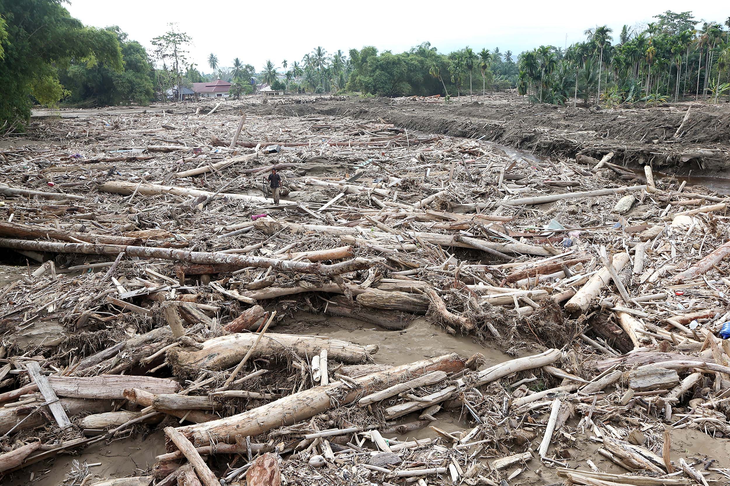 DPR Dorong Pemda Gandeng Pihak Ketiga Bersihkan Tumpukan Kayu Pasca Banjir Bandang di Sumatera