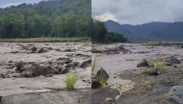 Apa Itu Banjir Lahar Dingin? Ini Penyebab dan Dampaknya bagi Lingkungan