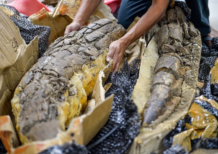 Mengapa Zaman Geologi Perlu Dibagi? Ini Alasannya