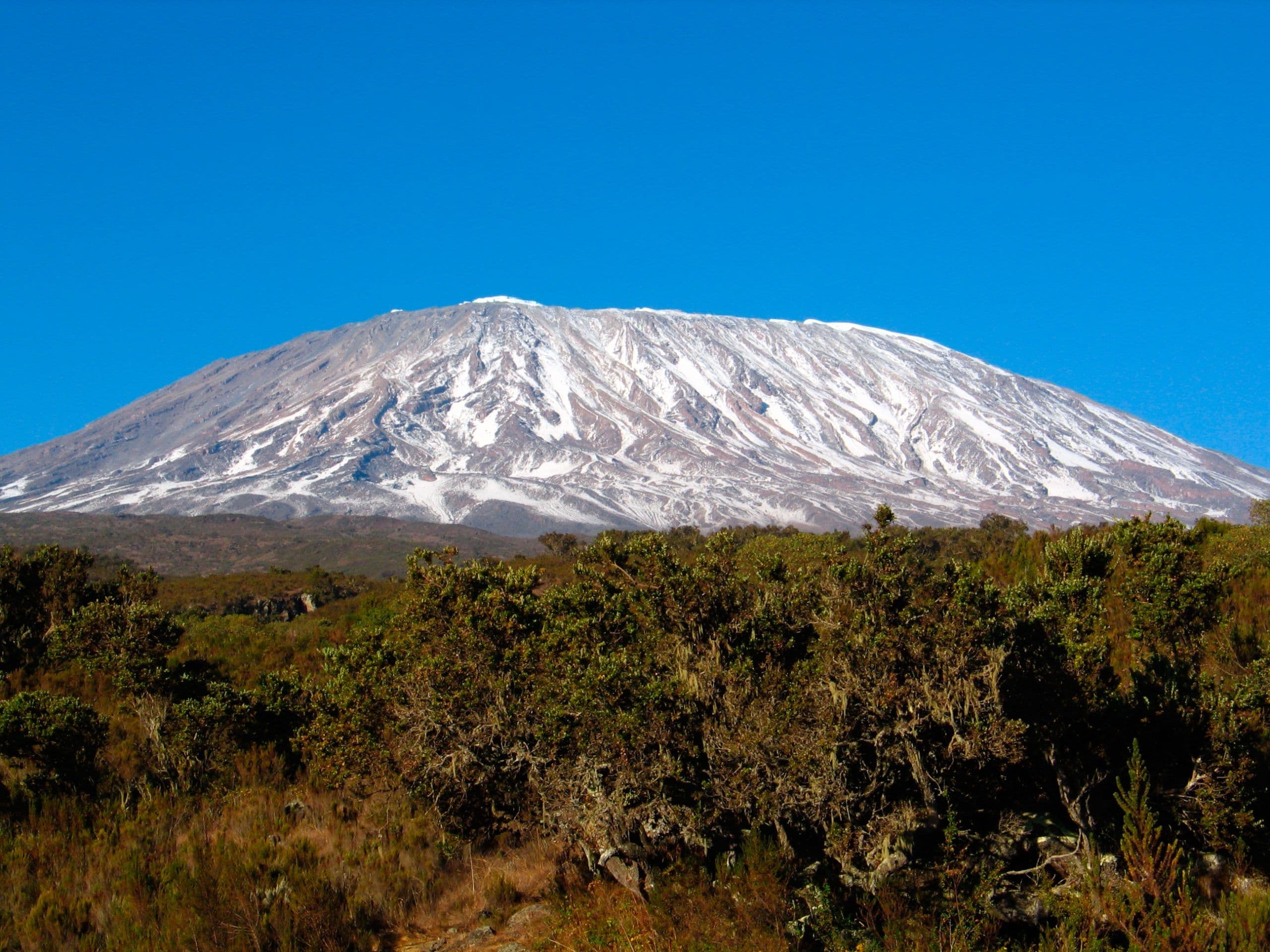 10 Gunung Tertinggi di Afrika: Dari Kilimanjaro hingga Ras Dashen, Ikon Alam Paling Menantang