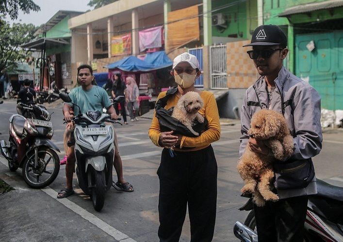 Penyebab Anjing Menggonggong Tanpa Arah, Ini Cara Mengatasinya