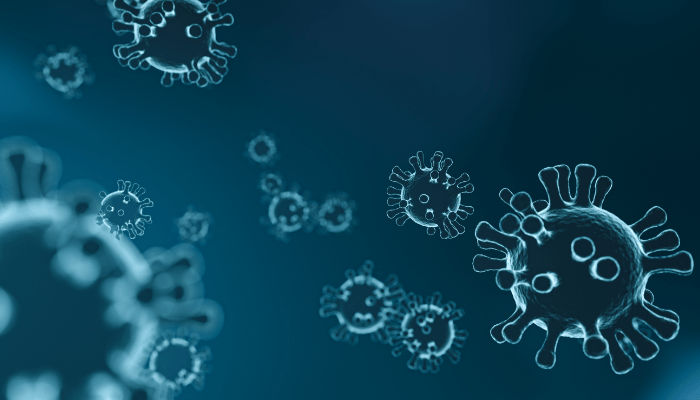 Wabah Virus Nipah di India Picu Kewaspadaan Asia, Bandara Perketat Pemeriksaan