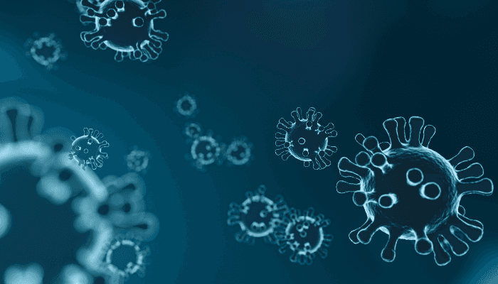 Wabah Virus Nipah di India Picu Kewaspadaan Asia, Bandara Perketat Pemeriksaan