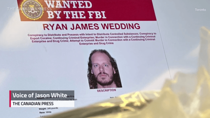 Mantan Atlet Olimpiade Kanada Ditangkap di Meksiko, Diduga Gembong Narkoba Internasional