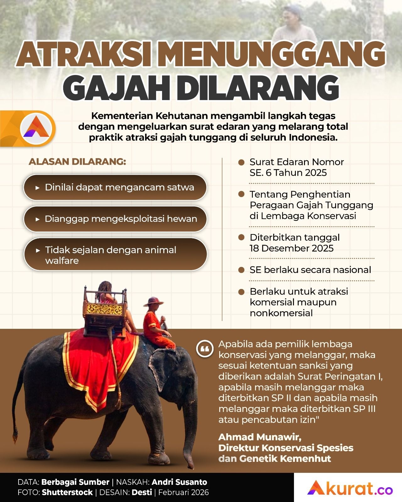 Dilarang Menunggang Gajah