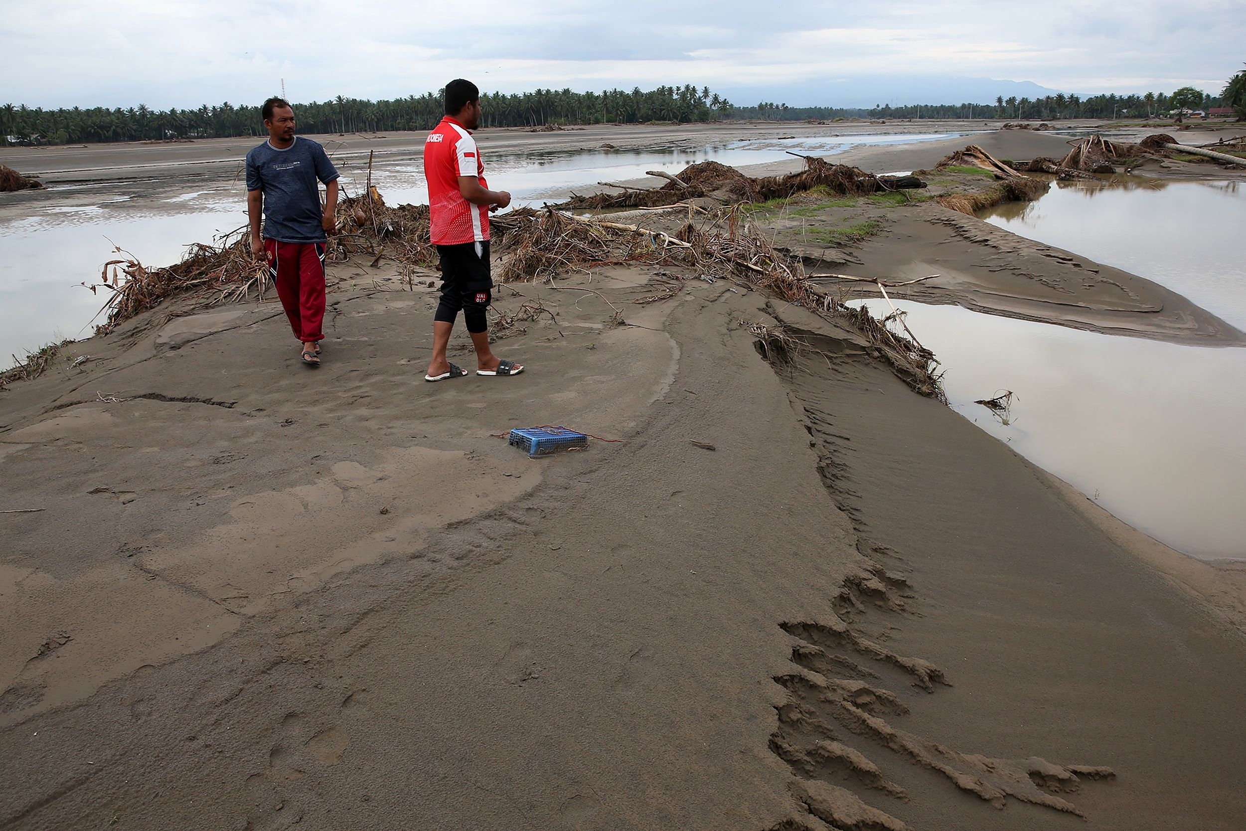 Program Rehabilitasi Sawah di Sumatera Rp5 Triliun Harus Diawasi Ketat Agar Tepat Sasaran