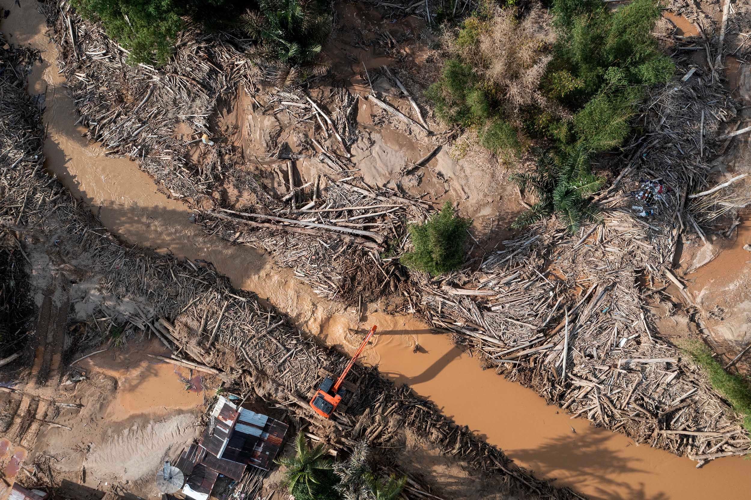 Pencabutan Izin 28 Perusahaan Dinilai Belum Cukup, Negara Diminta Kawal Pemulihan Hutan Sumatera