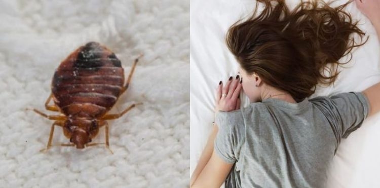 Cara Membersihkan Kasur dari Tungau Secara Total untuk Tidur Lebih Sehat