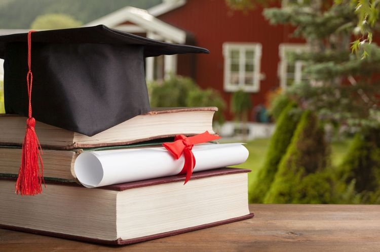 Jurusan Kuliah Terbaik di Korea Selatan yang Paling Diminati Mahasiswa Internasional