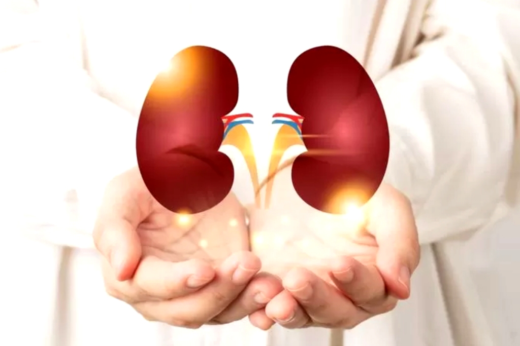Cara Menjaga Kesehatan Ginjal Secara Alami agar Tetap Optimal