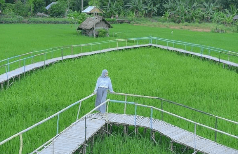 99 Persen Riset Kampus Tak Sampai ke Pasar, Pemerintah Dorong Inovasi Pertanian